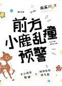 前方小鹿乱撞预警txt书包网