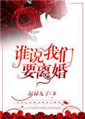 谁说我们要离婚txt福禄丸子