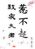 我家夫君惹不起剧情
