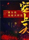 重生后我被大佬宠野翻了