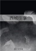 西城往事讲的什么
