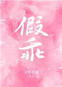 假乖TXT