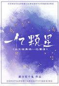 从天而降的一亿颗星结局