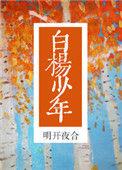 白杨少年by明开月合