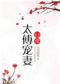 太傅宠妻日常书评