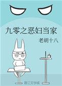 九零之恶妇当家晋江