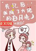 失忆后我成了大佬的白月光作者诗换花