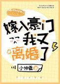 嫁入豪门后我又离婚了免费阅读全文