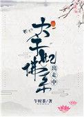 太子妃佛系出走中晋江