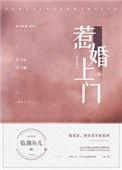 惹婚上门全本加番外
