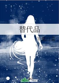 替代品是什么意思