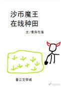 沙币魔王 在线种田攻