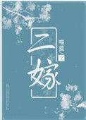 二嫁二三意免费阅读