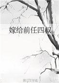 嫁给前任四叔