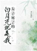 太子的白月光是我