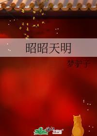 昭昭天明免费阅读