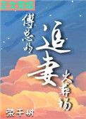 傅总的追妻火葬场傅野