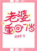 老婆重回17岁晋江文学城