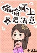 偷偷怀上暴君的崽儿