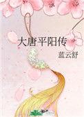 大唐平阳传电视剧