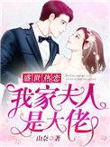 盛世热恋我家夫人是大佬百度