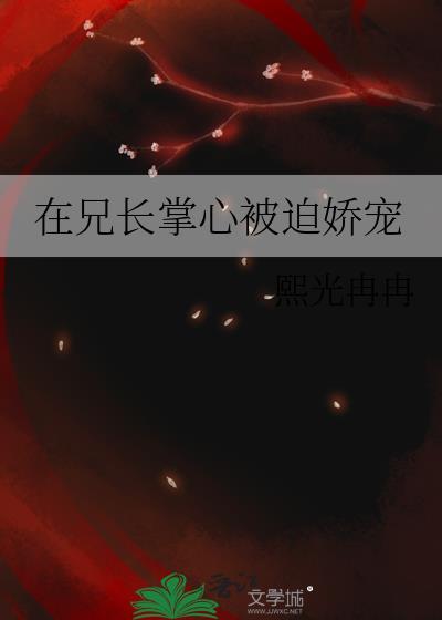 兄长在上正版全文免费阅读