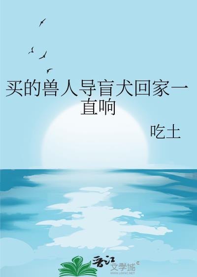 导盲犬 宠物