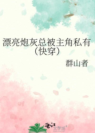 漂亮炮灰谁攻