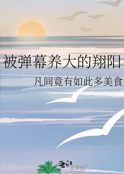 被弹幕养大的翔阳王静静的诞生