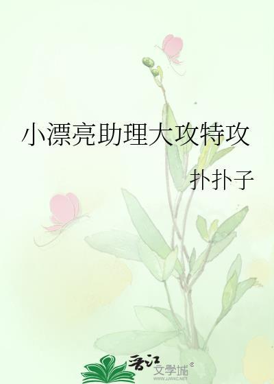 小漂亮助理大攻特攻txt