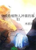 穿成给植物人冲喜的寡妇简介
