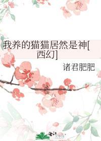 我养的猫成精了