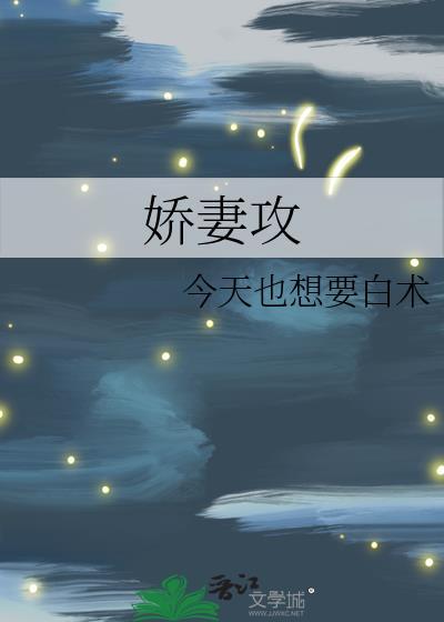 娇妻攻要被病娇老婆玩坏了