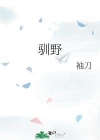 驯野袖刀免费阅读