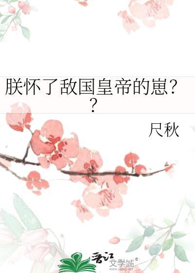 朕怀了敌国皇上的孩子
