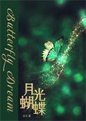 月光蝶npc在哪