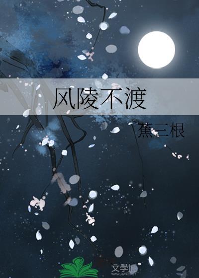 风陵渡歌词什么意思