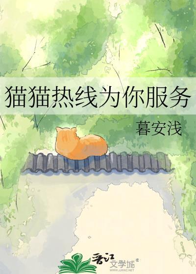 小猫帮客客服