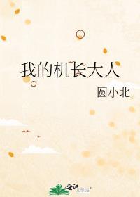 我的机长大人by怀南小山