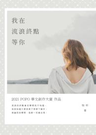 我在流浪是什么意思
