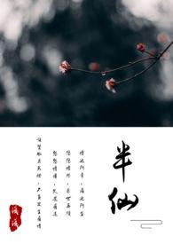 半仙免费阅读完整版