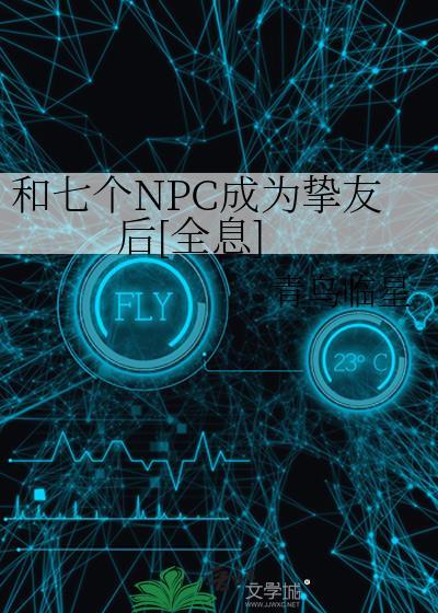 和npc做了