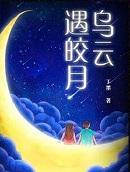 乌云遇皎月电视剧剧情介绍