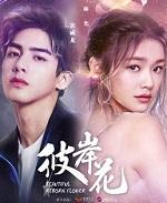 彼岸花的寓意和花语