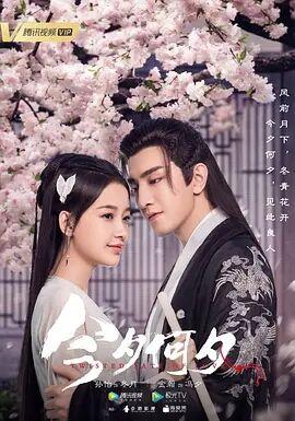 今夕何夕电视剧免费观看