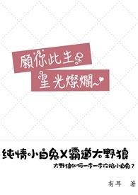 愿你此生星光灿烂是什么歌