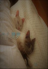 同床异梦没关系