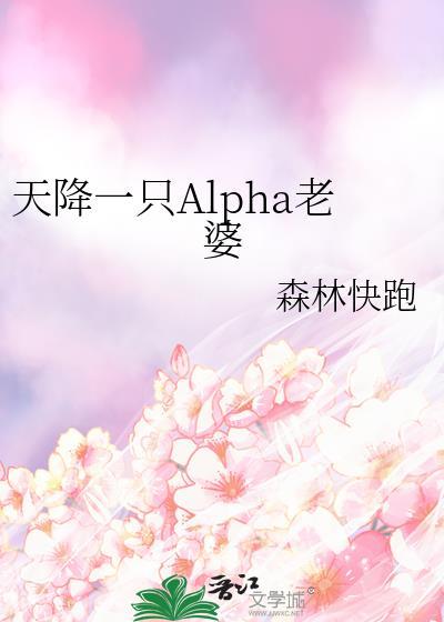 天降爱妻一赠二
