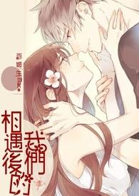 相遇的后续