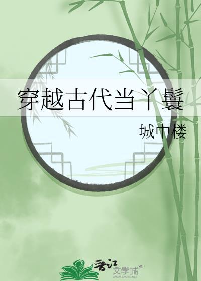 穿越古代当丫鬟城中楼晋江
